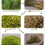 武雄そだちレモングラス加工工程